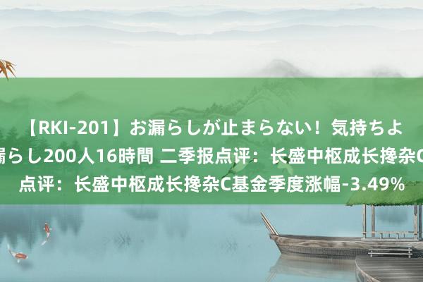 【RKI-201】お漏らしが止まらない！気持ちよすぎる失禁・羞恥お漏らし200人16時間 二季报点评：长盛中枢成长搀杂C基金季度涨幅-3.49%