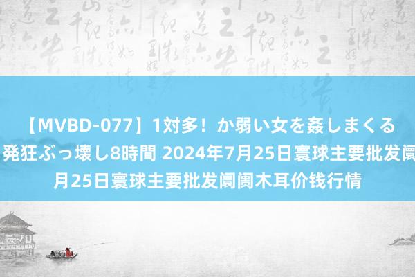 【MVBD-077】1対多！か弱い女を姦しまくる！輪姦の蟻地獄 発狂ぶっ壊し8時間 2024年7月25日寰球主要批发阛阓木耳价钱行情