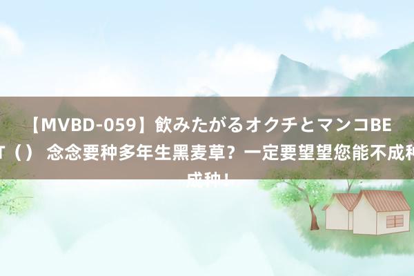 【MVBD-059】飲みたがるオクチとマンコBEST（） 念念要种多年生黑麦草？一定要望望您能不成种！