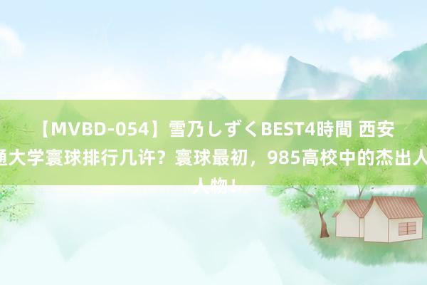 【MVBD-054】雪乃しずくBEST4時間 西安交通大学寰球排行几许？寰球最初，985高校中的杰出人物！