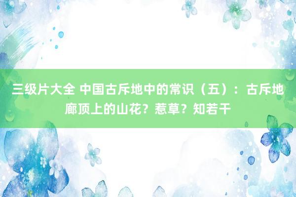 三级片大全 中国古斥地中的常识（五）：古斥地廊顶上的山花？惹草？知若干