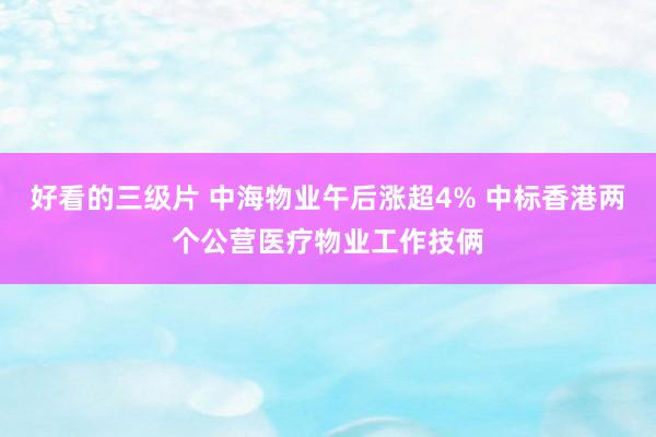 好看的三级片 中海物业午后涨超4% 中标香港两个公营医疗物业工作技俩