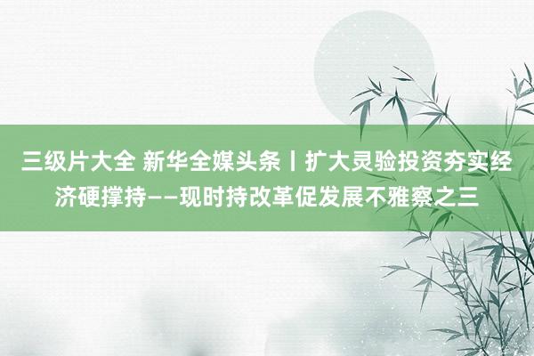 三级片大全 新华全媒头条丨扩大灵验投资夯实经济硬撑持——现时持改革促发展不雅察之三