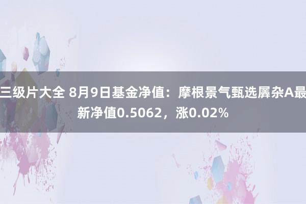 三级片大全 8月9日基金净值：摩根景气甄选羼杂A最新净值0.5062，涨0.02%