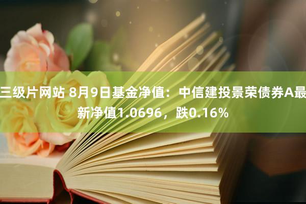 三级片网站 8月9日基金净值：中信建投景荣债券A最新净值1.0696，跌0.16%