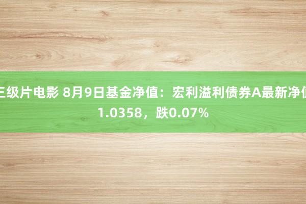 三级片电影 8月9日基金净值：宏利溢利债券A最新净值1.0358，跌0.07%