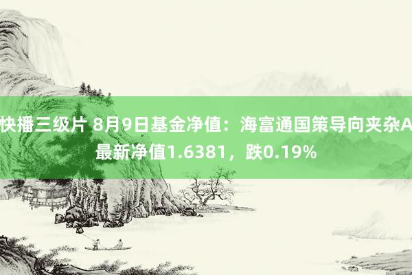 快播三级片 8月9日基金净值：海富通国策导向夹杂A最新净值1.6381，跌0.19%