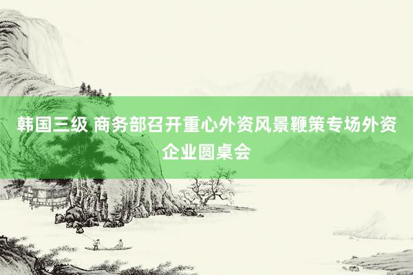 韩国三级 商务部召开重心外资风景鞭策专场外资企业圆桌会