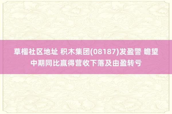 草榴社区地址 积木集团(08187)发盈警 瞻望中期同比赢得营收下落及由盈转亏