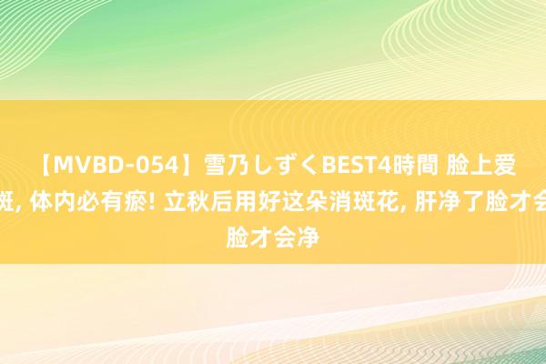 【MVBD-054】雪乃しずくBEST4時間 脸上爱长斑， 体内必有瘀! 立秋后用好这朵消斑花， 肝净了脸才会净