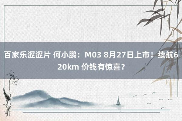 百家乐涩涩片 何小鹏：M03 8月27日上市！续航620km 价钱有惊喜？