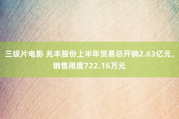 三级片电影 兆丰股份上半年贸易总开销2.63亿元，销售用度722.16万元