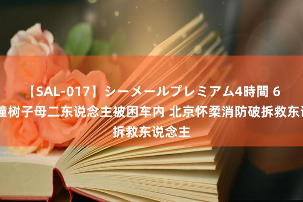 【SAL-017】シーメールプレミアム4時間 6 车辆撞树子母二东说念主被困车内 北京怀柔消防破拆救东说念主