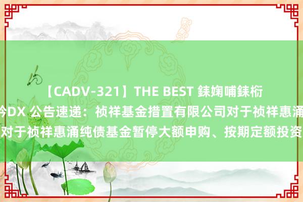 【CADV-321】THE BEST 銇婅哺銇椼仐銇俱仚銆?50浜?鏅傞枔DX 公告速递：祯祥基金措置有限公司对于祯祥惠涌纯债基金暂停大额申购、按期定额投资及诊治转入业务