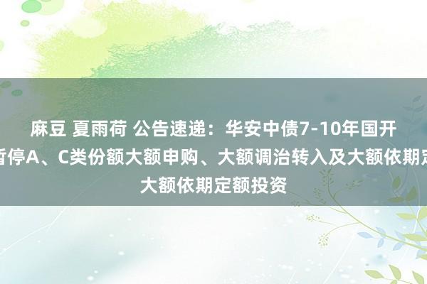 麻豆 夏雨荷 公告速递：华安中债7-10年国开债基金暂停A、C类份额大额申购、大额调治转入及大额依期定额投资