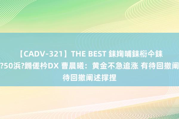 【CADV-321】THE BEST 銇婅哺銇椼仐銇俱仚銆?50浜?鏅傞枔DX 曹晨曦：黄金不急追涨 有待回撤阐述撑捏