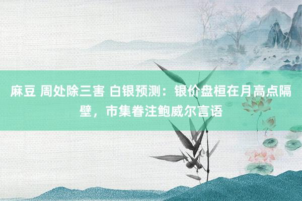 麻豆 周处除三害 白银预测：银价盘桓在月高点隔壁，市集眷注鲍威尔言语