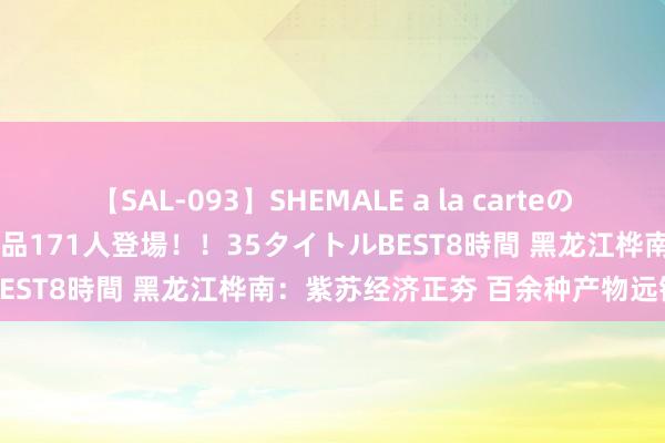 【SAL-093】SHEMALE a la carteの歴史 2008～2011 国内作品171人登場！！35タイトルBEST8時間 黑龙江桦南：紫苏经济正夯 百余种产物远销海表里