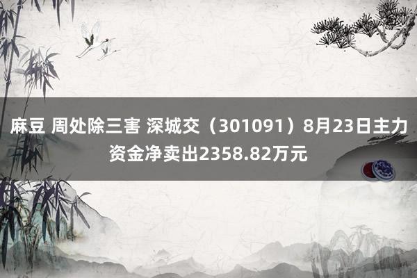 麻豆 周处除三害 深城交（301091）8月23日主力资金净卖出2358.82万元