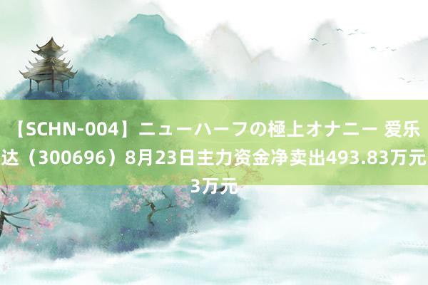 【SCHN-004】ニューハーフの極上オナニー 爱乐达（300696）8月23日主力资金净卖出493.83万元