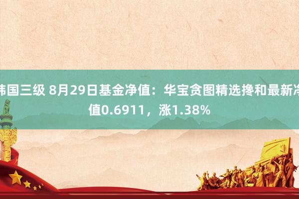 韩国三级 8月29日基金净值：华宝贪图精选搀和最新净值0.6911，涨1.38%