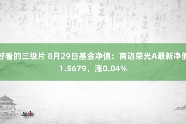 好看的三级片 8月29日基金净值：南边荣光A最新净值1.5679，涨0.04%