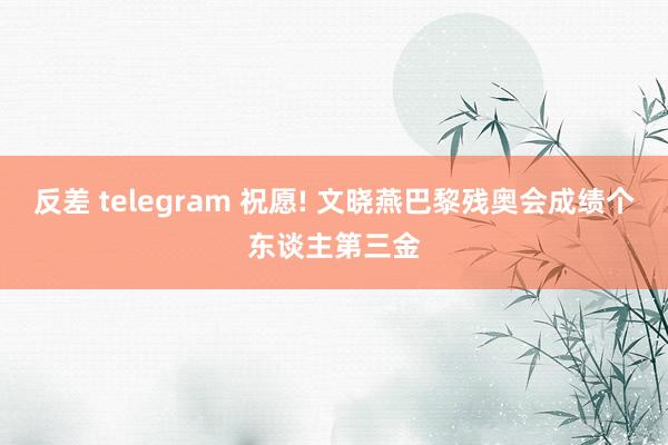 反差 telegram 祝愿! 文晓燕巴黎残奥会成绩个东谈主第三金