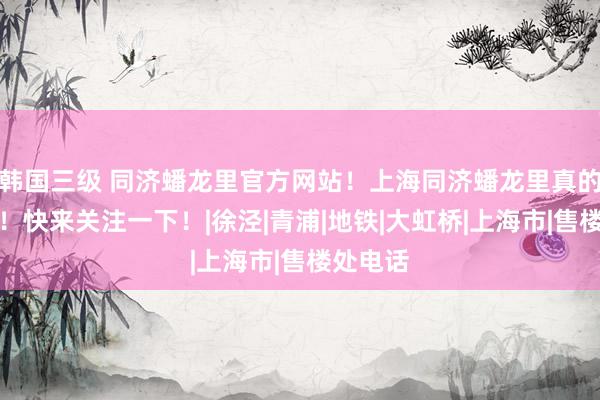 韩国三级 同济蟠龙里官方网站！上海同济蟠龙里真的忒火了！快来关注一下！|徐泾|青浦|地铁|大虹桥|上海市|售楼处电话