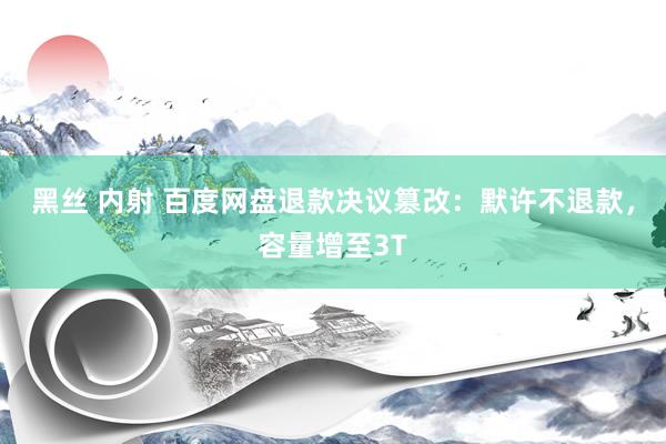 黑丝 内射 百度网盘退款决议篡改：默许不退款，容量增至3T