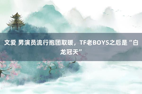 文爱 男演员流行抱团取暖，TF老BOYS之后是“白龙冠天”