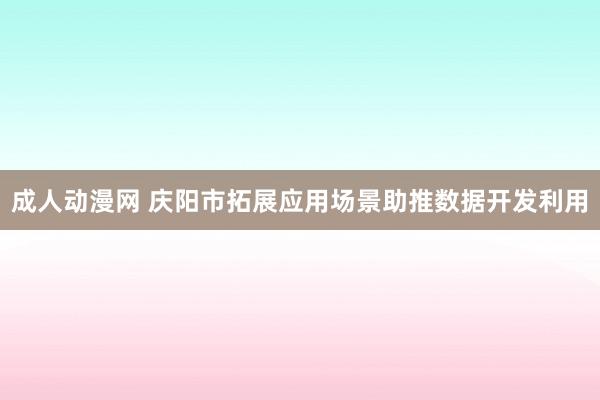 成人动漫网 庆阳市拓展应用场景助推数据开发利用