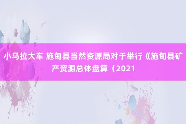 小马拉大车 施甸县当然资源局对于举行《施甸县矿产资源总体盘算（2021