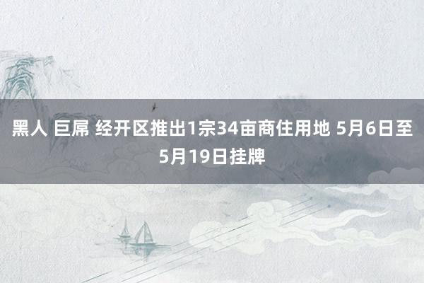 黑人 巨屌 经开区推出1宗34亩商住用地 5月6日至5月19日挂牌