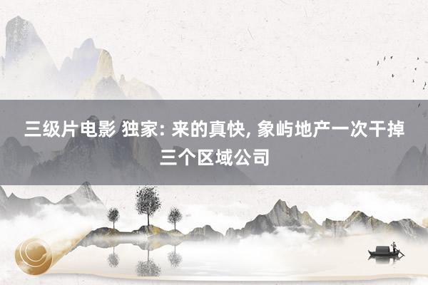 三级片电影 独家: 来的真快, 象屿地产一次干掉三个区域公司